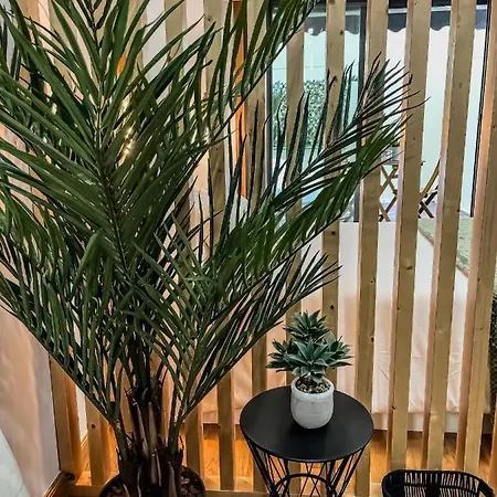 公寓式酒店 La Terraza De David 比戈